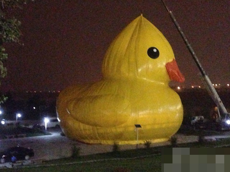 Beijing : arrivée du canard en plastique géant ! (6)
