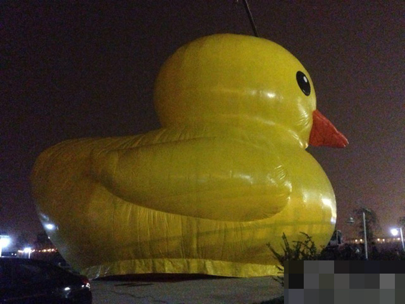 Beijing : arrivée du canard en plastique géant ! (3)