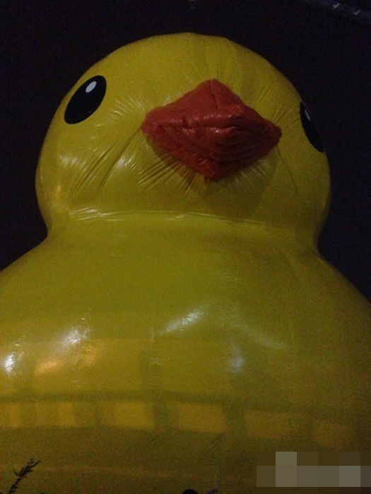 Beijing : arrivée du canard en plastique géant ! (2)