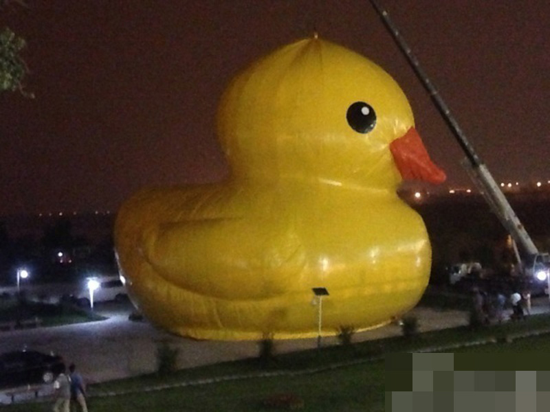 Beijing : arrivée du canard en plastique géant !