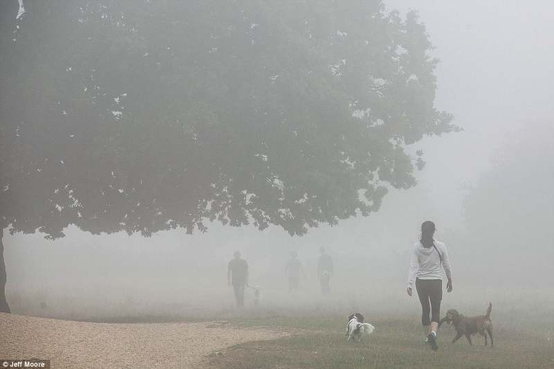 100 voitures prises dans un carambolage géant dû au brouillard en Grande-Bretagne (20)