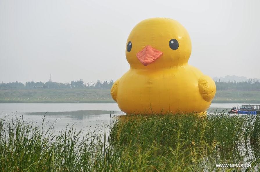 Le célèbre canard géant a "retrouvé la forme" (2)