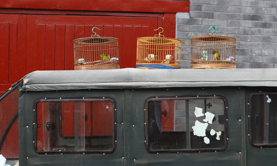 Trois cages à oiseaux installés sur la capote d'une moto dans un hutong du quartier de Shichahai. [Photo Zou Hong / China Daily]