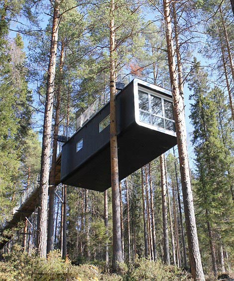 Les plus belles maisons dans les arbres (7)