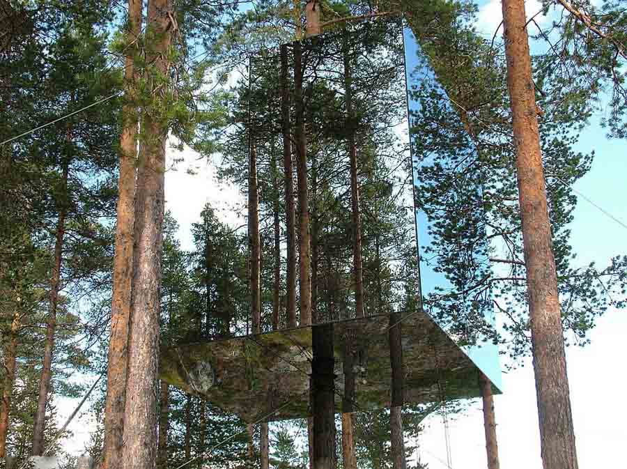 Les plus belles maisons dans les arbres (15)