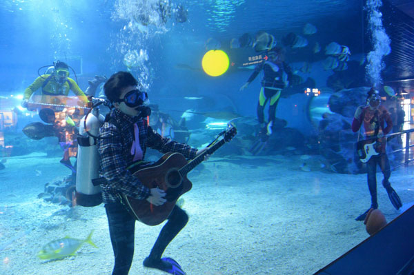 Des musiciens en concert au Haichang Polar Ocean World à Tianjin, le 17 septembre 2013. L'Ocean Park avant la fête de la mi-automne, a formé la «bande des océans» pour le plus grand plaisir des visiteurs. Toutefois, compte tenu des conditions limitées, les prestations du groupe seront pré -enregistrées. [Photo / Xinhua]