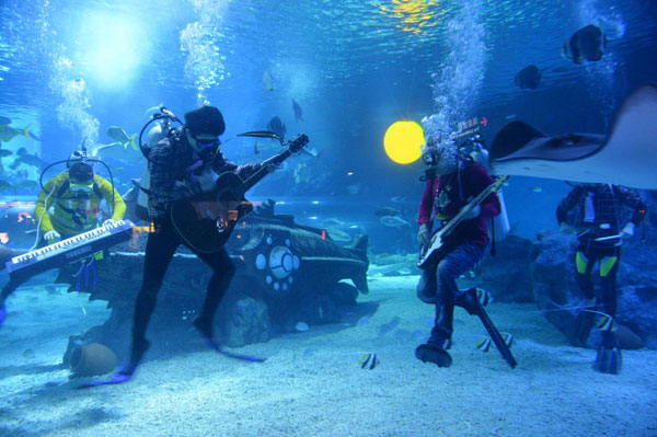 Des musiciens en concert au Haichang Polar Ocean World à Tianjin, le 17 septembre 2013. L'Ocean Park avant la fête de la mi-automne, a formé la «bande des océans» pour le plus grand plaisir des visiteurs. Toutefois, compte tenu des conditions limitées, les prestations du groupe seront pré -enregistrées. [Photo / Xinhua]