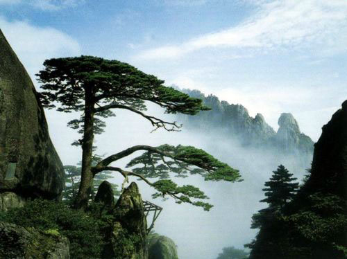 5. Le mont HuangshanAdresse : ville de Huangshan, dans la province de l'Anhui