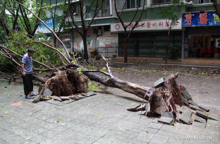 Le typhon Usagi fait deux morts en Chine  (3)