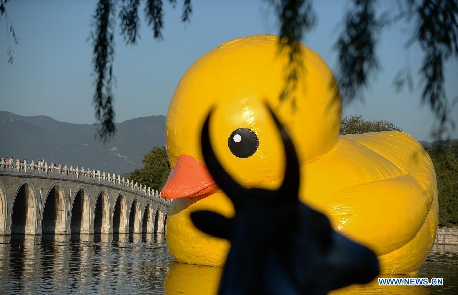 Le célèbre canard géant, oeuvre de l'artiste néerlandais Florentijn Hofman, sur le lac Kunming au Palais d'Eté à Beijing, capitale de la Chine, le 26 septembre 2013. Le canard gonflable de 18 mètres de haut, restera au Palais d'été, un lieu touristique célèbre de Pékin, jusqu'au 26 octobre.