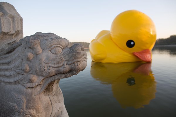 Avant d'arriver à Beijing, le canard jaune s'est déjà rendu dans treize villes de neuf pays.