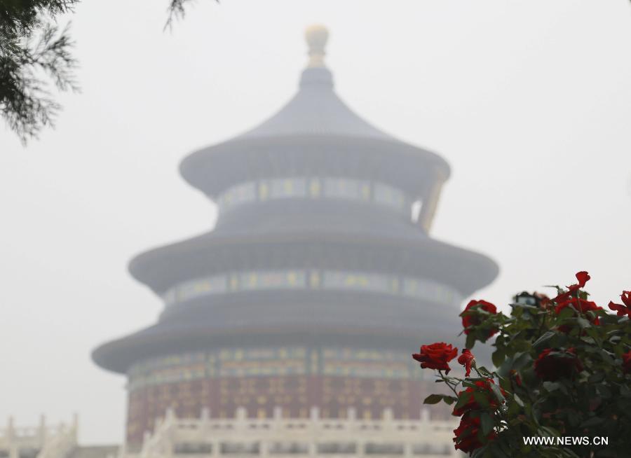 Chine : plusieurs autoroutes fermées en raison d'un brouillard épais