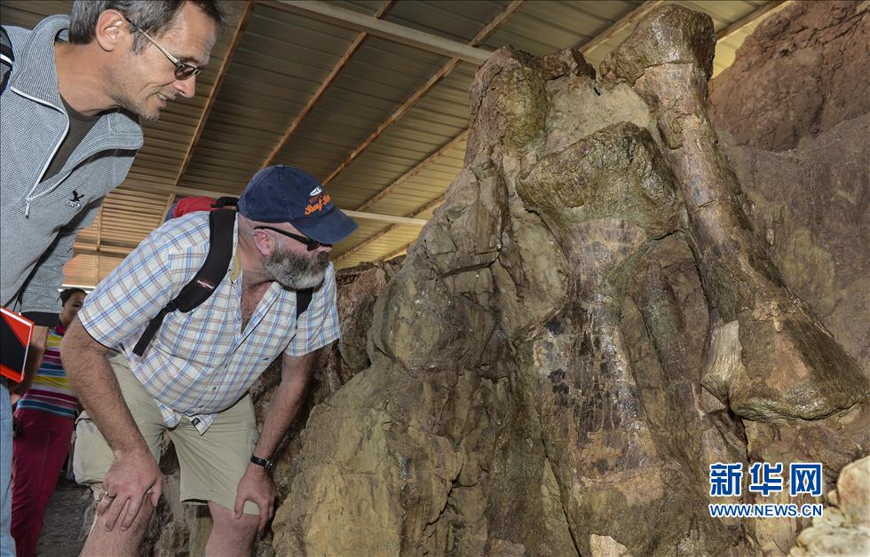 Le  10 octobre, deux experts scientifiques venant d'Allemagne examinent de près des fossiles de dinosaures sur le site de fouilles de fossiles du « Dragon de Shanshan du Xinjiang », à Qiketai, dans le Comté de Shanshan, dans la Région Autonome Ouïgoure du Xinjiang.