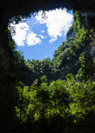 Hang Son Doong, la plus grande grotte naturelle du monde (3)