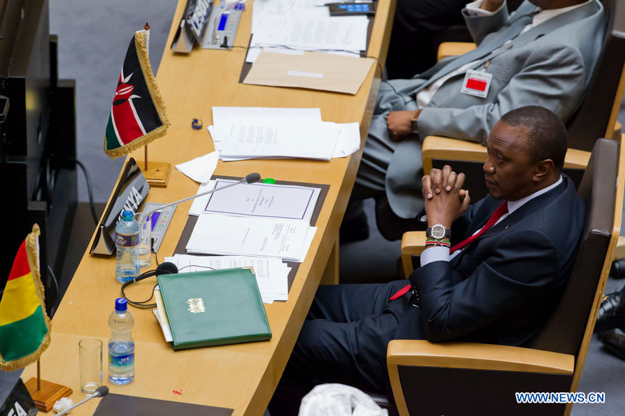 Les pays africains demandent l'ajournement des procédures ouvertes par la CPI contre des dirigeants en exercice