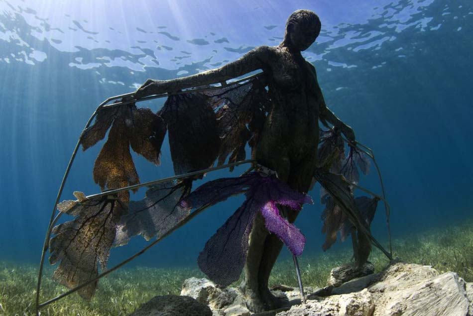 Un musée sous-marin pour protéger nos océans (9)