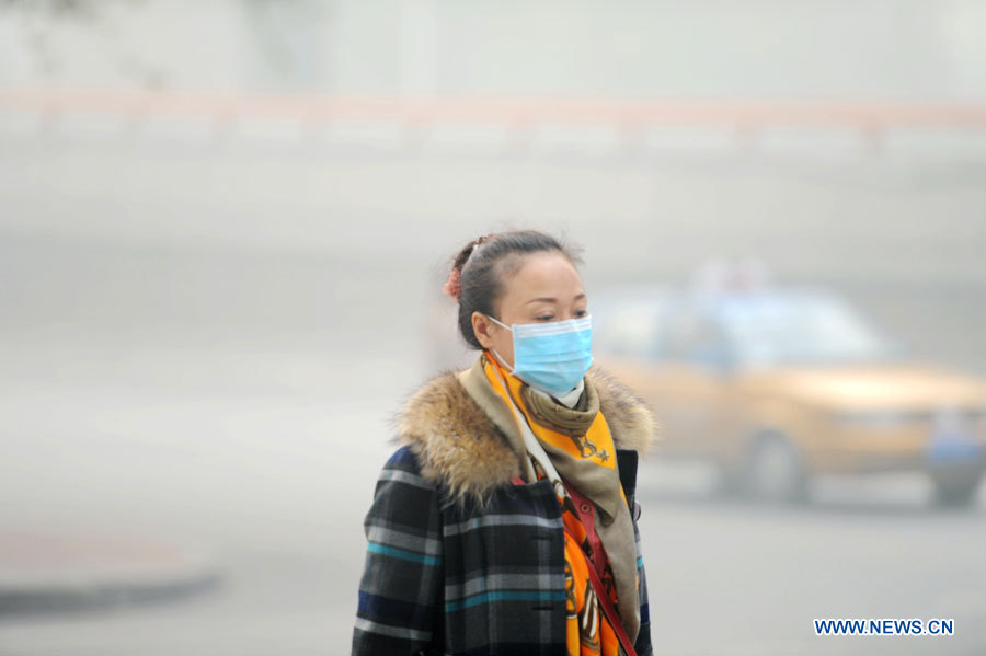 Chine : un épais smog entraîne la fermeture des écoles et des autoroutes à Harbin (4)