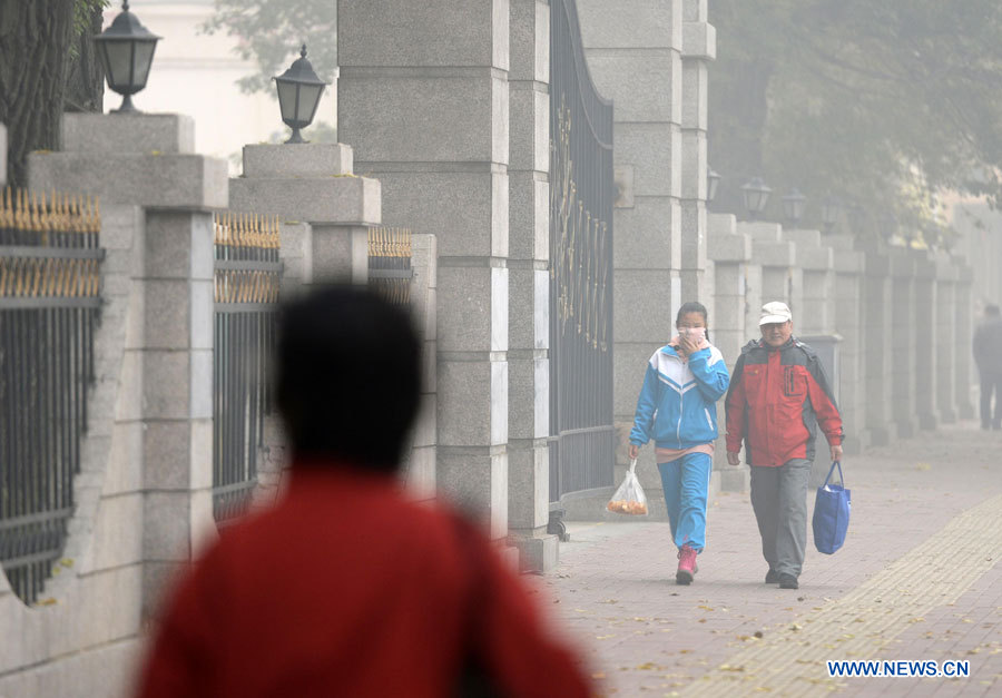 Chine : un épais smog entraîne la fermeture des écoles et des autoroutes à Harbin (3)