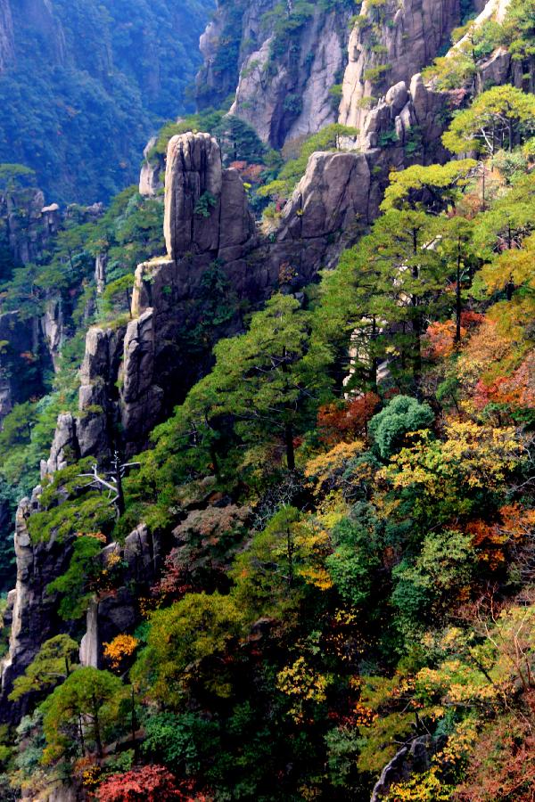 Un cliché pris le 20 octobre 2013, pour admirer les paysages d'automne du mont Huangshan dans la province chinoise de l'Anhui. (Photo/Xinhua)