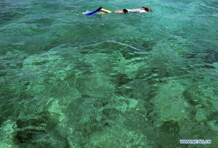 Photos - La barrière de corail du Belize, un site du patrimoine mondial (2)