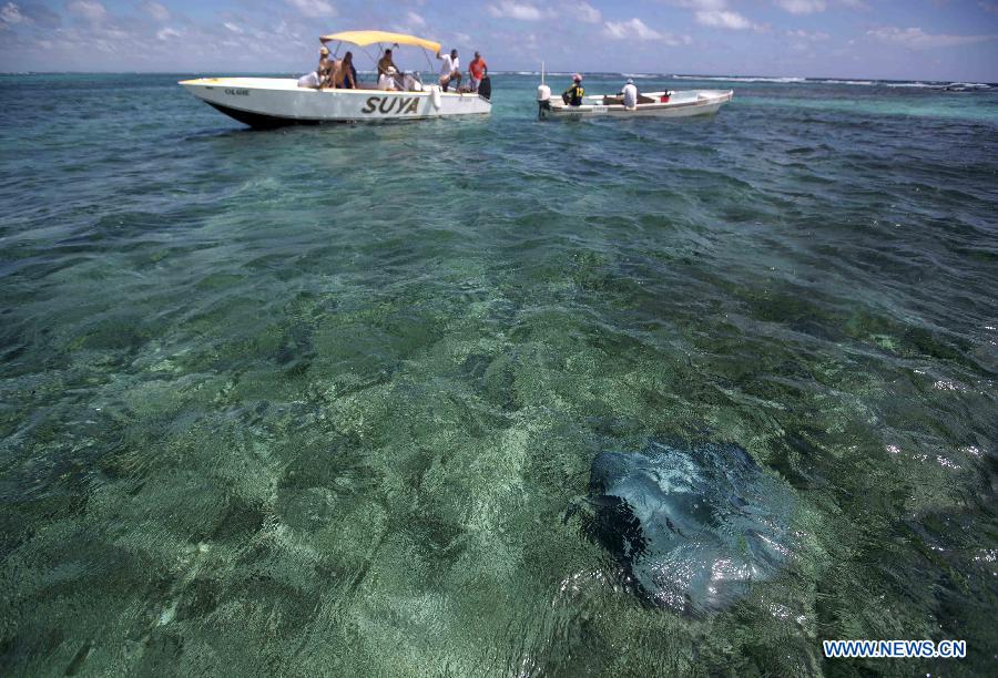 Photos - La barrière de corail du Belize, un site du patrimoine mondial (9)