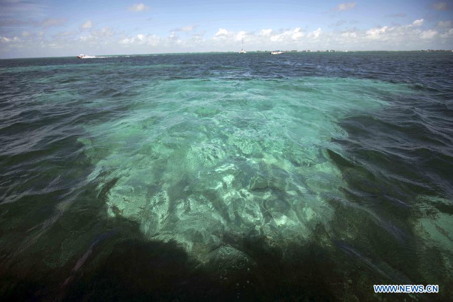 Photos - La barrière de corail du Belize, un site du patrimoine mondial (10)