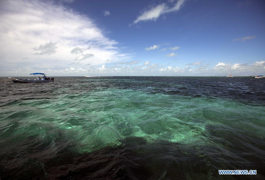 Photos - La barrière de corail du Belize, un site du patrimoine mondial (3)