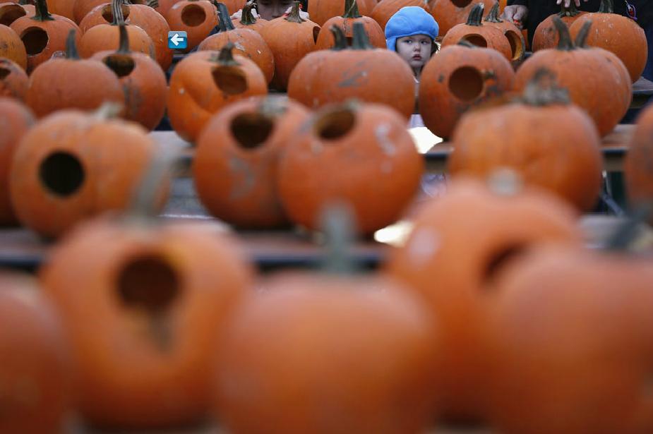 Le visage d'une petite fille apparait au milieu de milliers de citrouilles, lors du Grand Festival américain de la citrouille à Highwood, dans l'Illinois, le 18 octobre 2013. Les organisateurs espèrent entrer dans le Guinness des Records, pour l'exposition du plus grand nombre de Jack-o'-lanternes au monde
