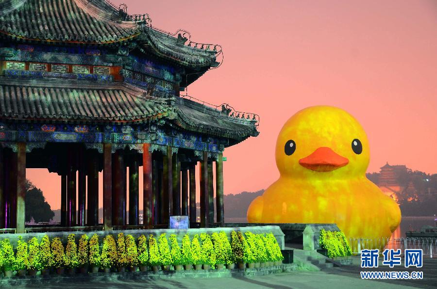 Le canard jaune, poule aux œufs d'or de Beijing