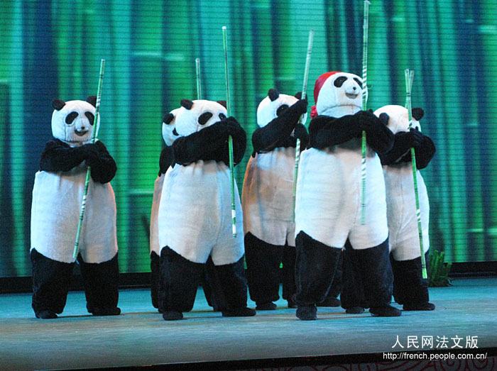 Le kung fu chinois à l'honneur à Beijing (4)