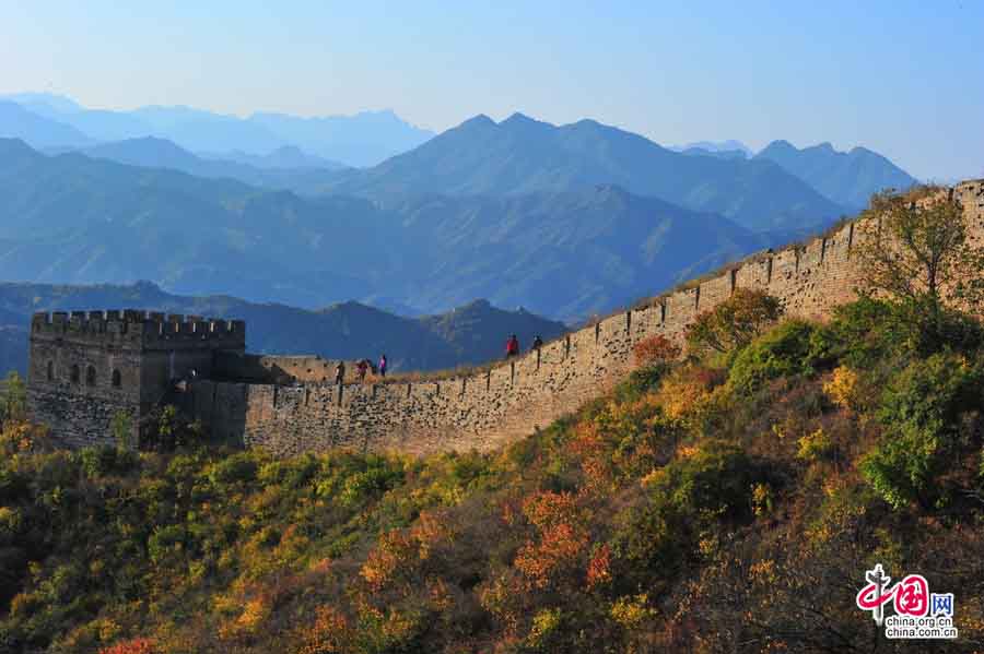 Admirer les feuilles rouges autour de la Grande Muraille Jinshanling (8)
