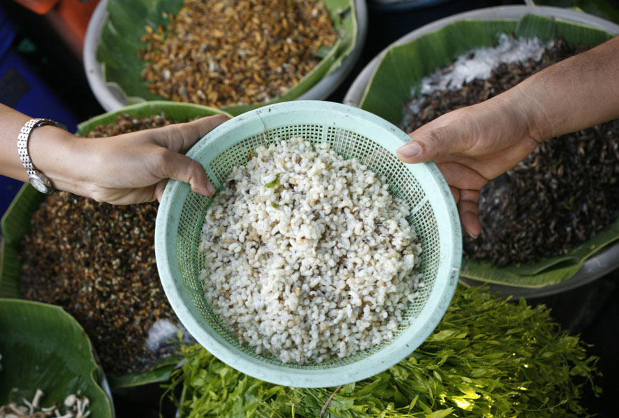 En avril 2007 à Bangkok, une marchande d'insectes passe des nymphes de fourmi à un client. 