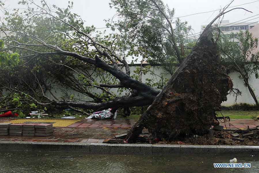 Le typhon Haiyan apporte des vents violents et des pluies torrentielles dans le sud de la Chine