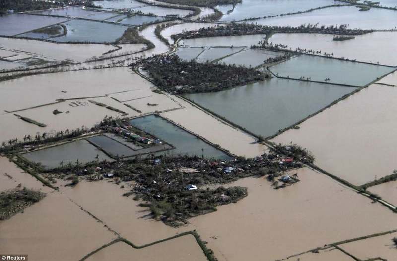 En images : les Philippines ravagées par le typhon Haiyan (20)