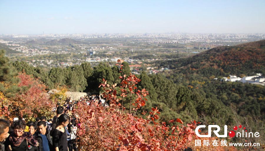 Les couleurs d'automne de Beijing (2)