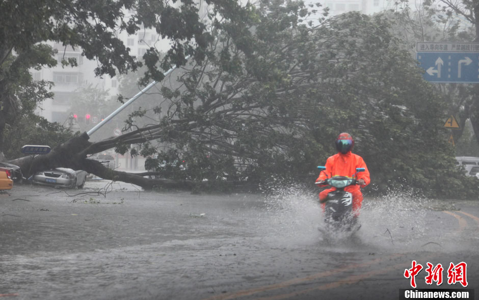 Typhoon Haiyan. Le super-typhon Haiyan, de force 5, a touché les Philippines vendredi 8 novembre. Plusieurs centaines de milliers de Philippins se retrouvent sans abri. Après le passage sur le Vietnam, le super-typhon Haiyan a touché la côte sud de la Chine lundi matin, avec des vents forts et apportant des trombes d'eau.Plusieurs personnes ont trouvé la mort dans la province chinoise de Hainan. (Photo: news.cn/Chinanews.cn)