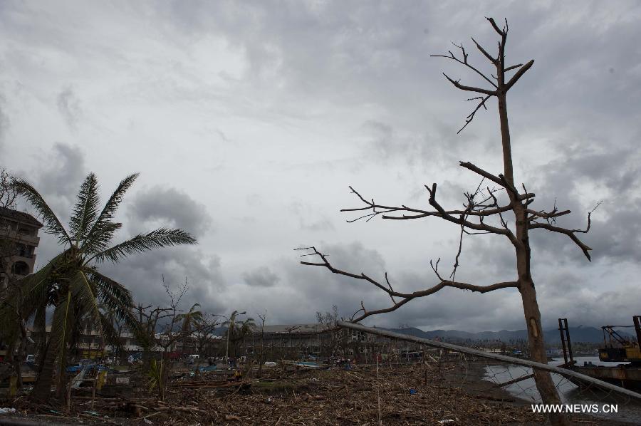 En images: la province philippine de Leyte dévastée par le typhon Haiyan  (4)