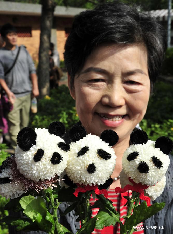 Chen Zhaomei, un artiste de la floriculture, montre un bouquet de fleurs de chrysanthème en forme de pandas lors d'une exposition sur les  chrysanthèmes, à Taiwan au Sud-est de la Chine, le 17 novembre 2013. L'exposition s'est ouverte dimanche et durera jusqu'au 1er décembre. [Photo / Xinhua]