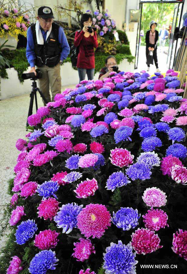 Des visiteurs prennent des photos de fleurs lors d'une exposition sur les  chrysanthèmes à Taipei, à Taiwan au Sud-est de la Chine, le 17 novembre 2013. L'exposition s'est ouverte dimanche et durera jusqu'au 1er décembre. [Photo / Xinhua]