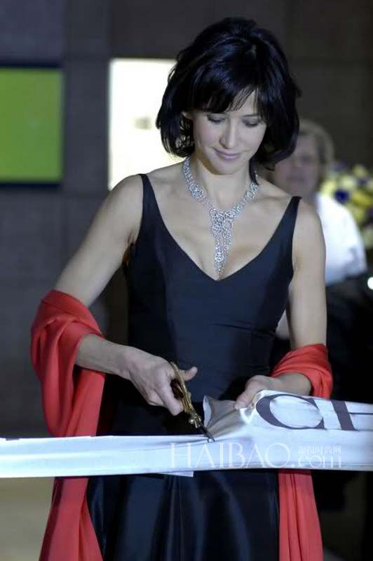 Les looks de Sophie Marceau sur le tapis rouge (46)