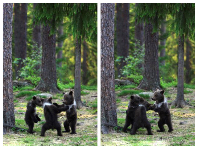 Finlande : trois oursons dans la danse (3)