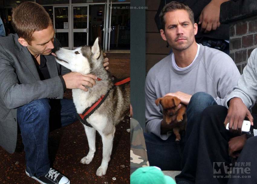 En 2006, Paul pose avec l'un des chiens apparus dans le film Eight Below