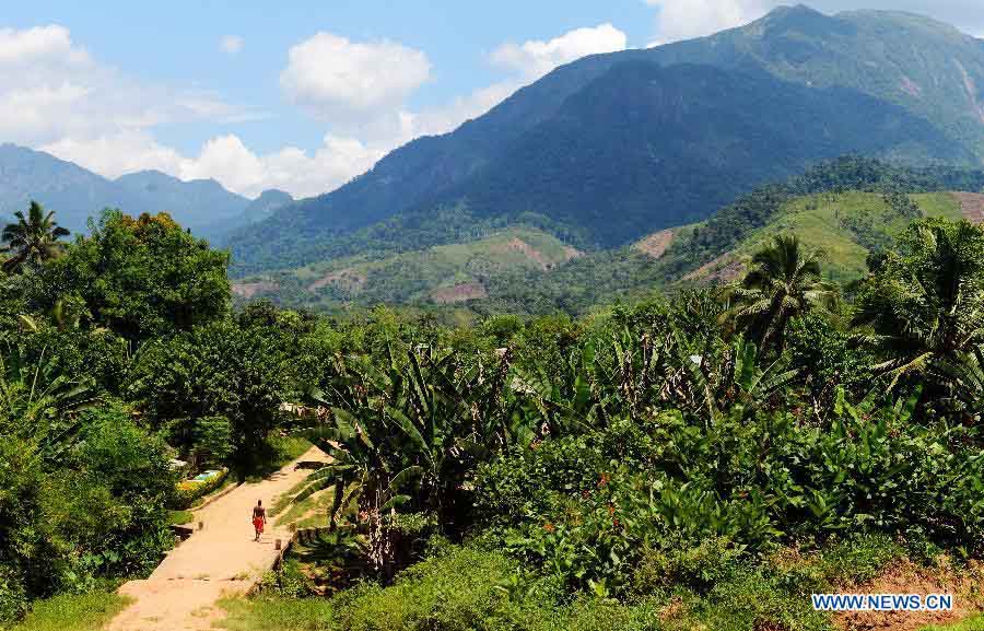 EN IMAGES: Découvrez la beauté des forêts humides de l'Atsinanana à Madagascar (6)