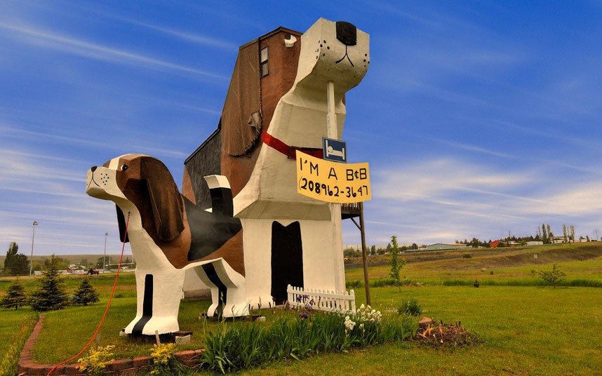 L'hôtel Dog Park, IdahoLe propriétaire avait l'intention d'attirer les clients avec des statues d'animaux domestiques, mais ce fut en vain. Il semble en effet que son idée soit peu appréciée.