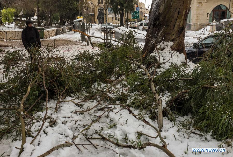 Israël: 40 000 foyers dépourvus d'électricité alors qu'une tempête fait rage (7)