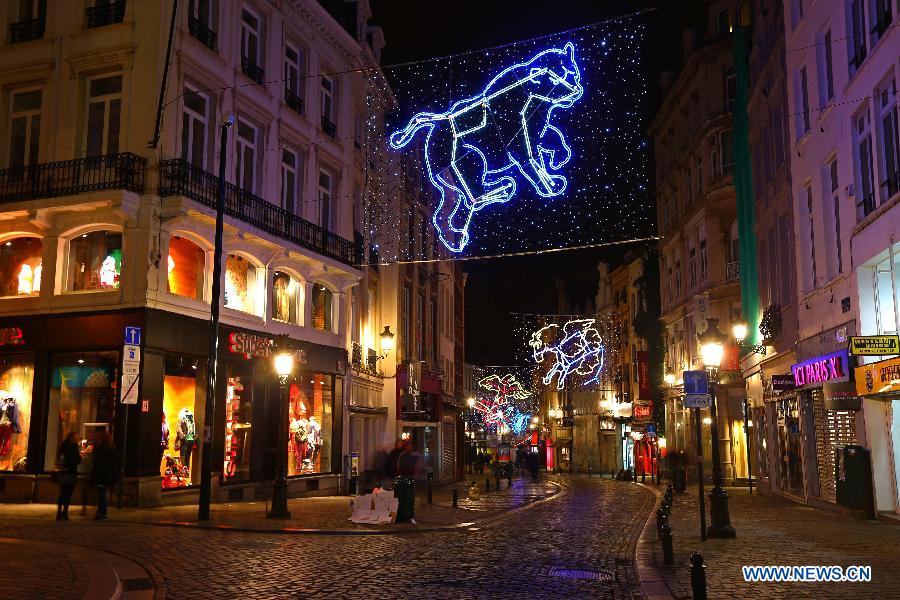 Photos - L'ambiance de Noël à Bruxelles  (8)