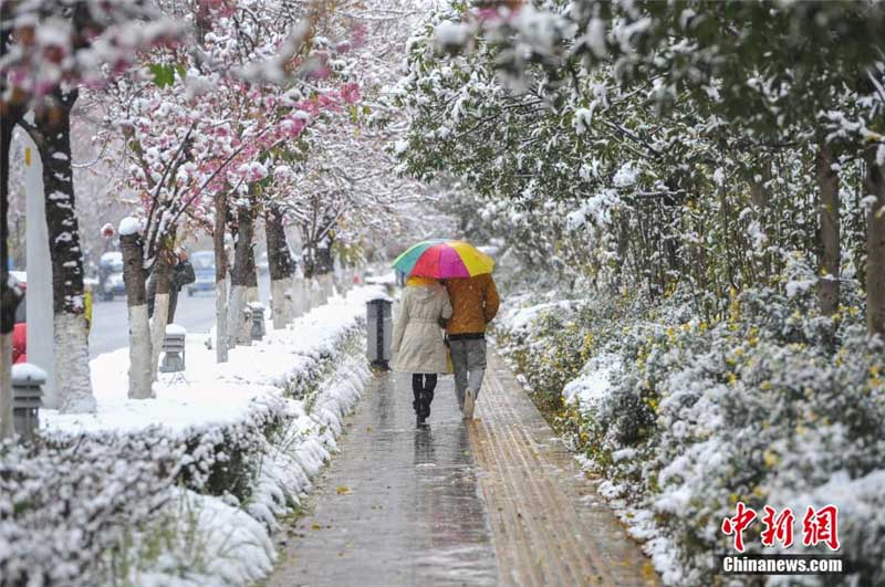 Kunming : rares chutes de neige sur la « ville du printemps éternel » (5)