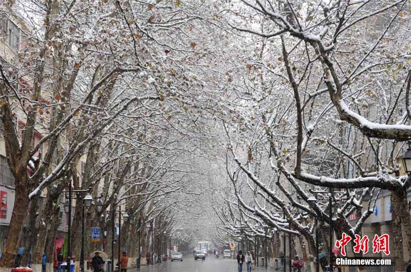 Kunming : rares chutes de neige sur la « ville du printemps éternel » (6)