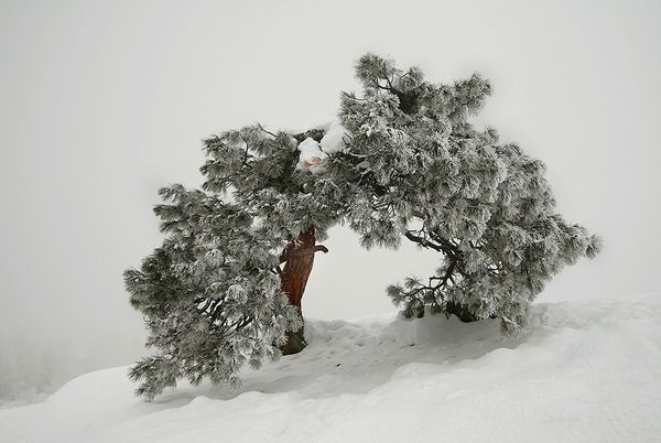 EN IMAGES: magnifiques paysages de neige (28)