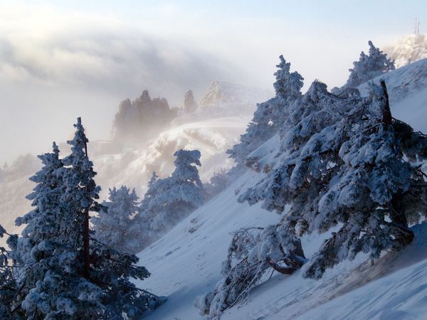 EN IMAGES: magnifiques paysages de neige (10)